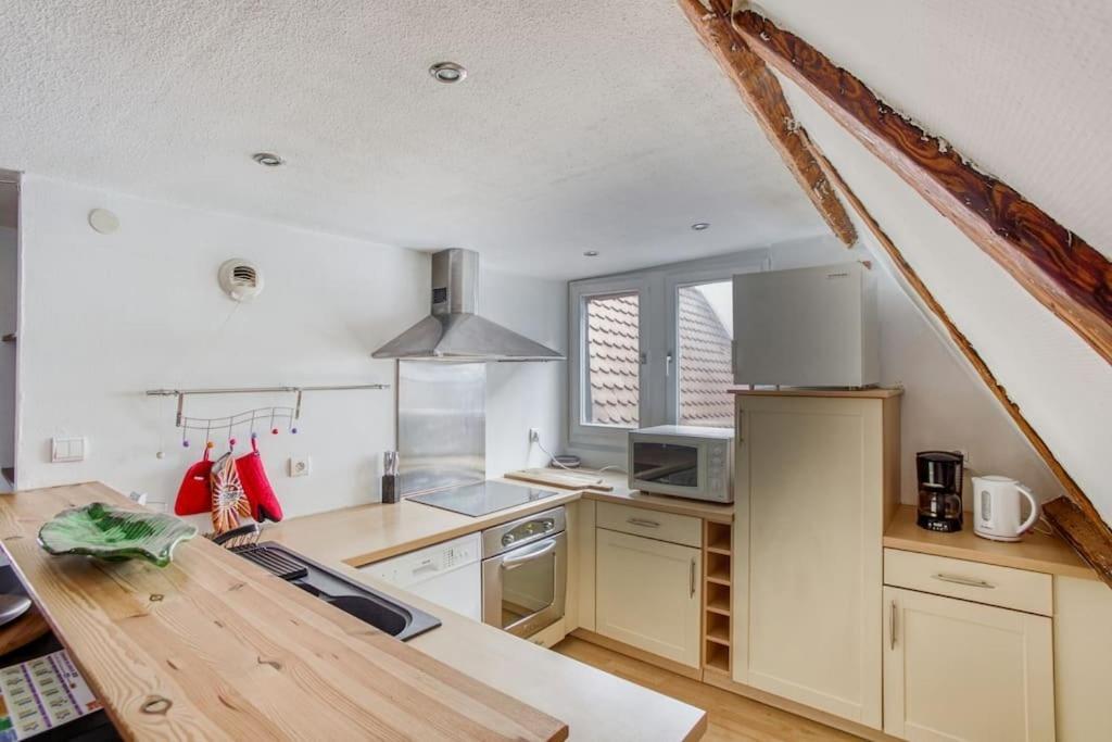 Le Cocon Alsacien Appartement Straatsburg Buitenkant foto