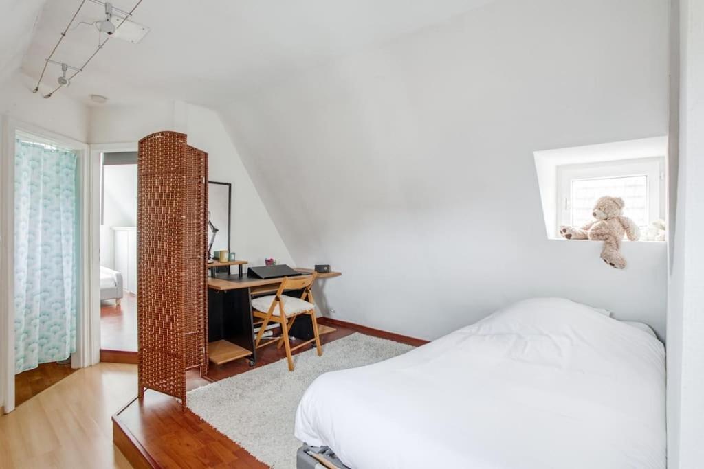 Le Cocon Alsacien Appartement Straatsburg Buitenkant foto